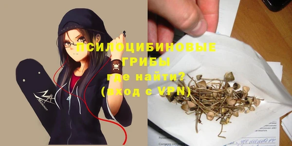 mdpv Алексин