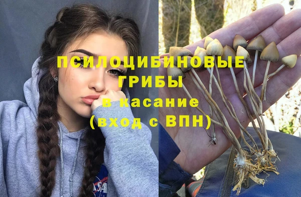 стафф Новодвинск
